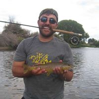 Fotos de Taylor Clark