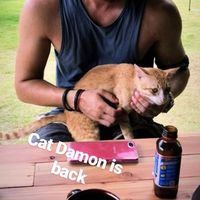 Henry Pawlik's Photo