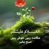 Muhammad Arif's Photo