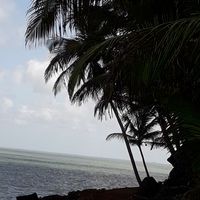 James Mecilien的照片