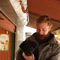 josh Weston的照片