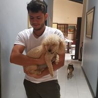 David Oliveros的照片