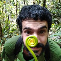 Photos de Romain Duret