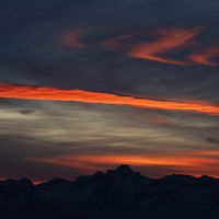 Darren  Saunders's Photo