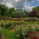 Picnic at the Botanical Garden's picture