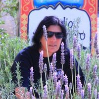 Michelle Bar's Photo