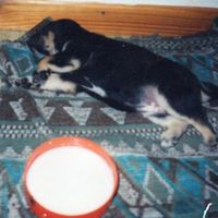 Diego Orlando Carmona's Photo