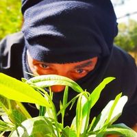 Fotos von Fathi Nour