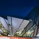 🦖 An evening at the ROM 🦕 🦥's picture