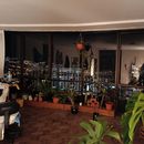 🎄 Christmas Together in La Paz – December 24th 🎄的照片