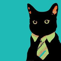 Фотографии пользователя Mateusz Wiszniewski