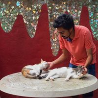 Fotos de Apurv Gujar