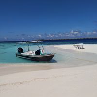 Mohmed Shakir's Photo