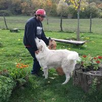 alexandre beaulieu的照片