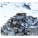 Winter Spiti Jeep 4x4 Expedition 's picture