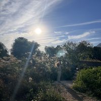 Nehir Yıldız's Photo