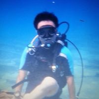 Photos de İbrahim Gürsoy