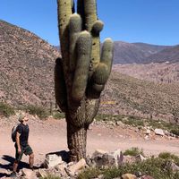 Jochen Wilhelm的照片