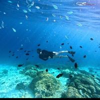 Daviss Inty的照片