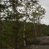 Lukáš Krunčík's Photo