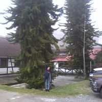 ana Zambrano的照片