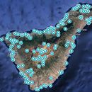 Tenerife exploration 2nd week Oct 30th - Nov 6th's picture