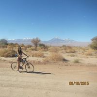 Andrea C. Estefan的照片