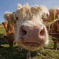 Sid Smallman's Photo