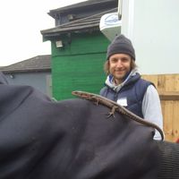 Fotos de William Neame