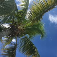 Marilyne Cote's Photo