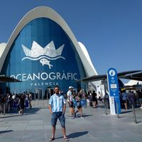 Pashalis Tsiftelidis的照片