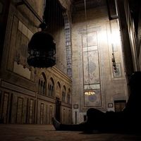 Tarek El Deeb的照片