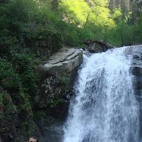 Zeki Toraman's Photo