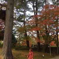 Anastu Regita的照片