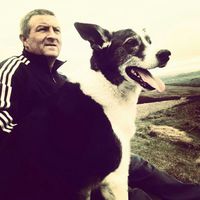 Mark Harrison的照片