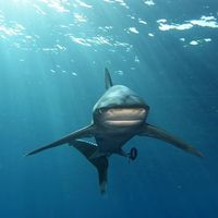 Sven Kahlbrock的照片