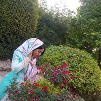 Simin Shafiei's Photo
