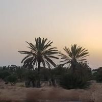 Mohamed Haouidhek's Photo