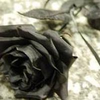 Queila Blasphemate's Photo