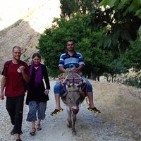 Фотографии пользователя Morteza Asri