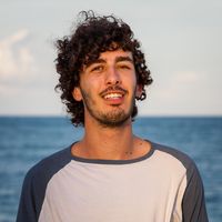 Roi Margolius的照片