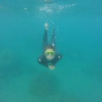 Samantha Williams's Photo