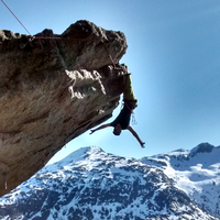 Alex Sedlmayr's Photo