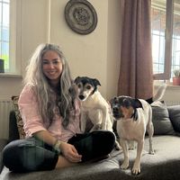 Photos de nafise dehghani