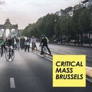фотография Critical Mass Brussels 