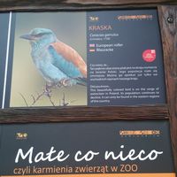 Audrey Laflamme's Photo