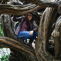 Maria Geonczy's Photo