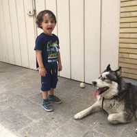 Fotos von Linda Kesh