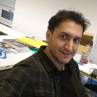 Ale Dadashi的照片