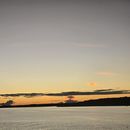 New Years Eve's picture